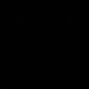 Meet your Posher, Daphnée